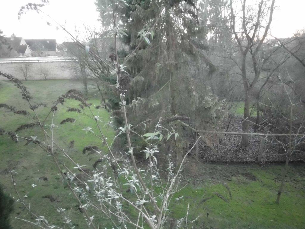 Blick in den Garten